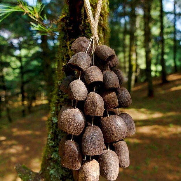 Handmade Salin Water Bellwood Seed Shell