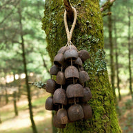 Handmade Salin Water Bellwood Seed Shell