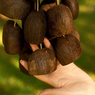 Handmade Salin Water Bellwood Seed Shell