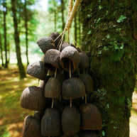 Handmade Salin Water Bellwood Seed Shell